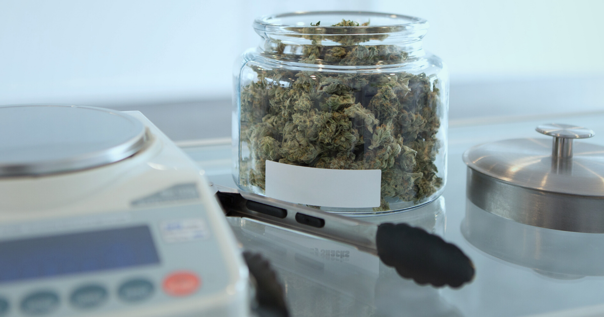 Close up of marijuana in a jar