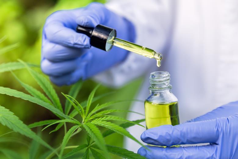 A doctor examines CBD oil