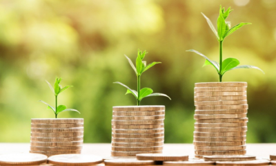 Three piles of coins with seeds sprouting