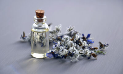 A bottle of tincture near some lavender flowers