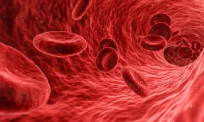Red blood cells graphic