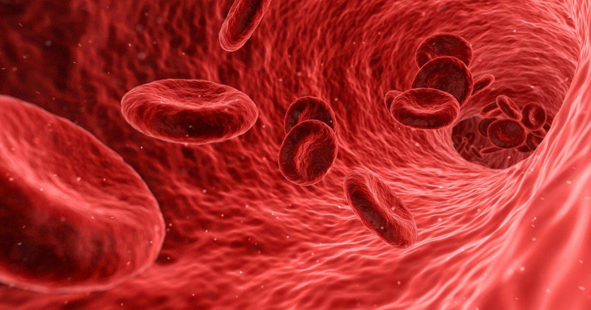 Red blood cells graphic