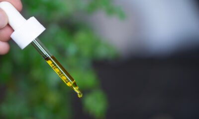 A pipette with yellow CBD oil in it