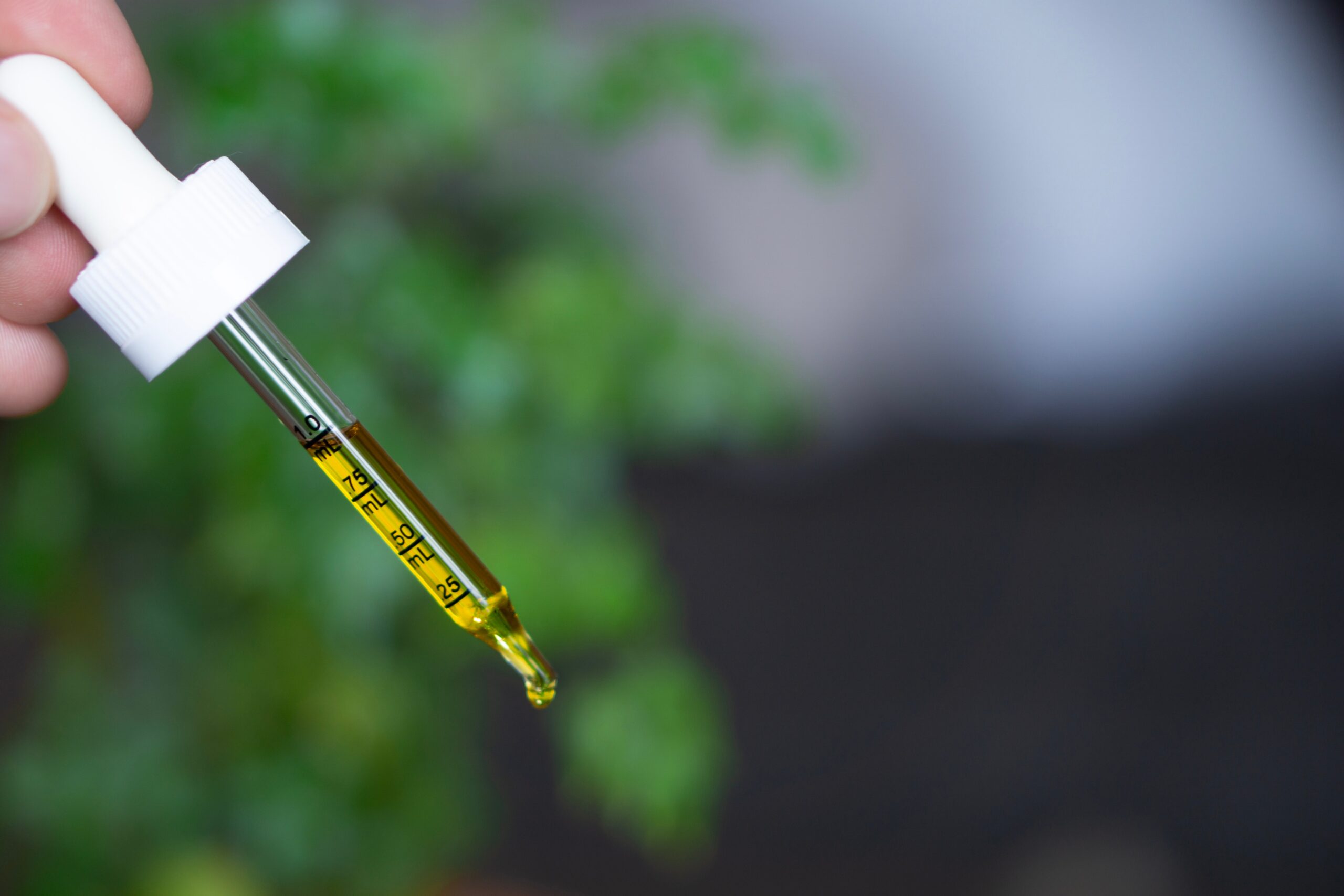 A pipette with yellow CBD oil in it