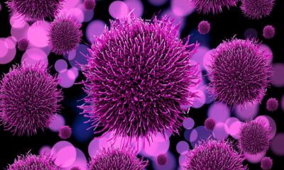 Purple virus graphic