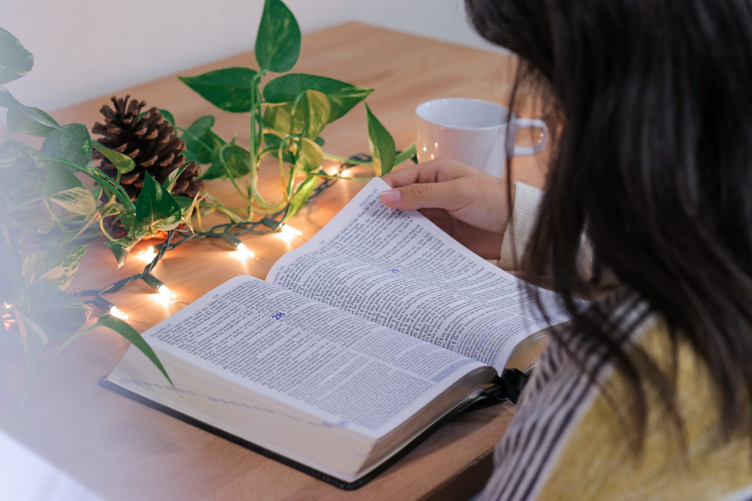 A woman studying a book with fairy lights