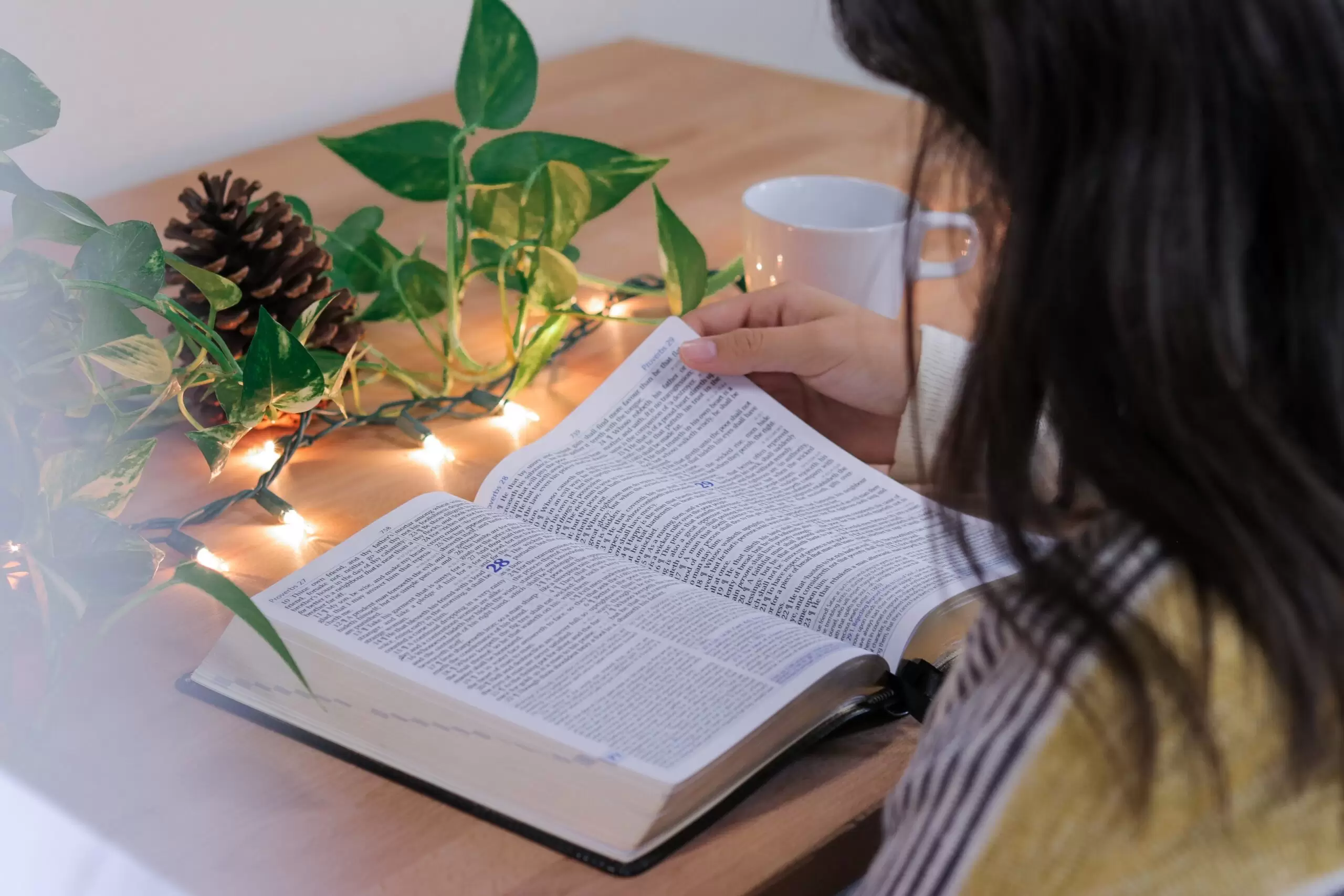 A woman studying a book with fairy lights