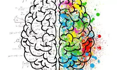 A drawing of the shape of a brain, illustrating bright, mixed colours of red, yellow, blue and green on one side