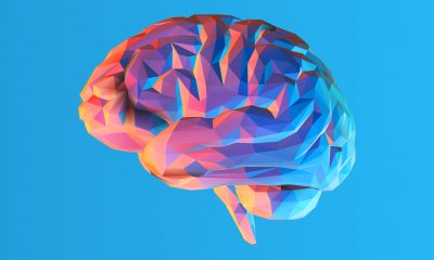 Low poly brain illustration isolated on blue BG