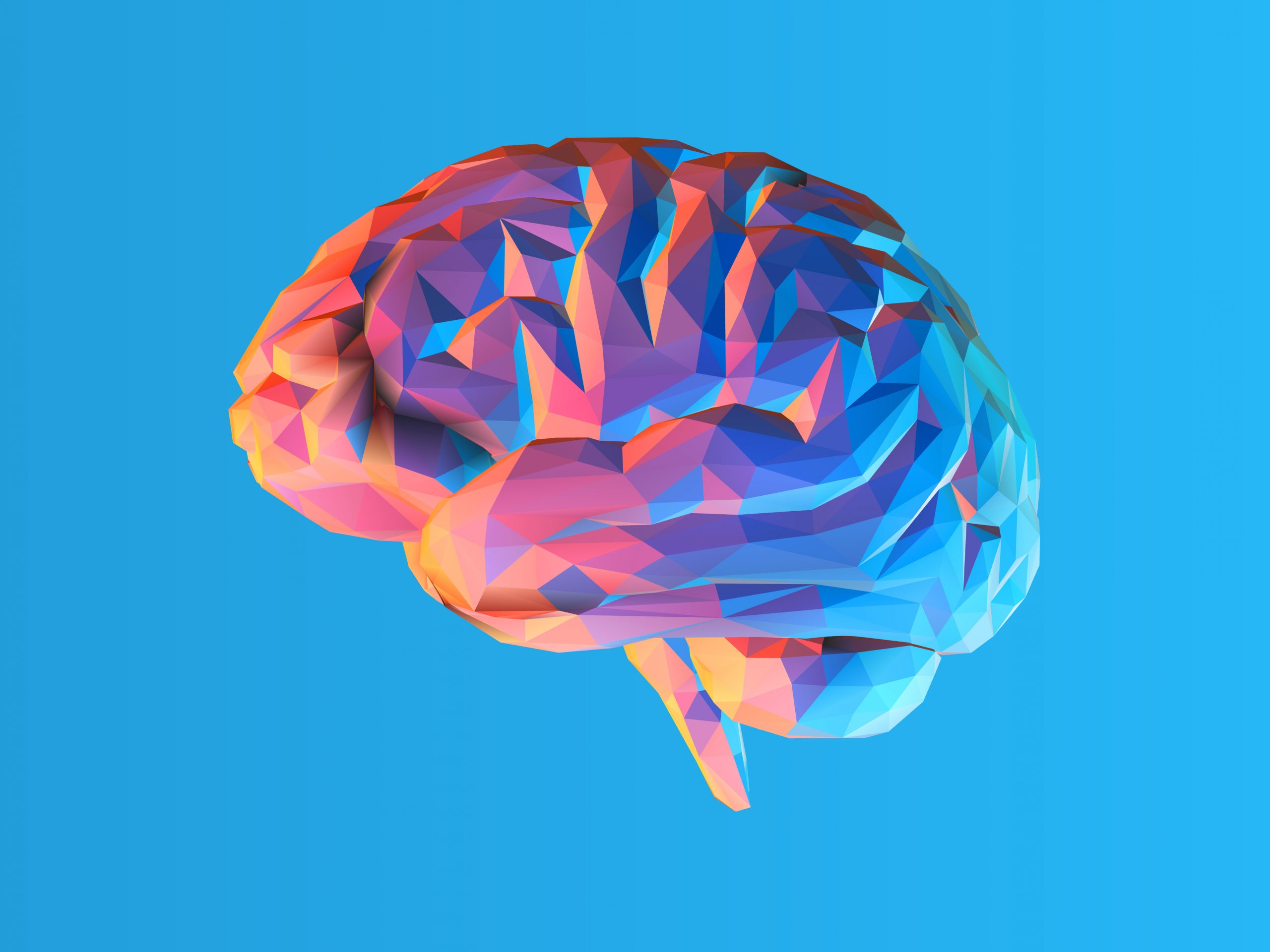 Low poly brain illustration isolated on blue BG