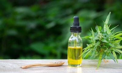 CBD tincture