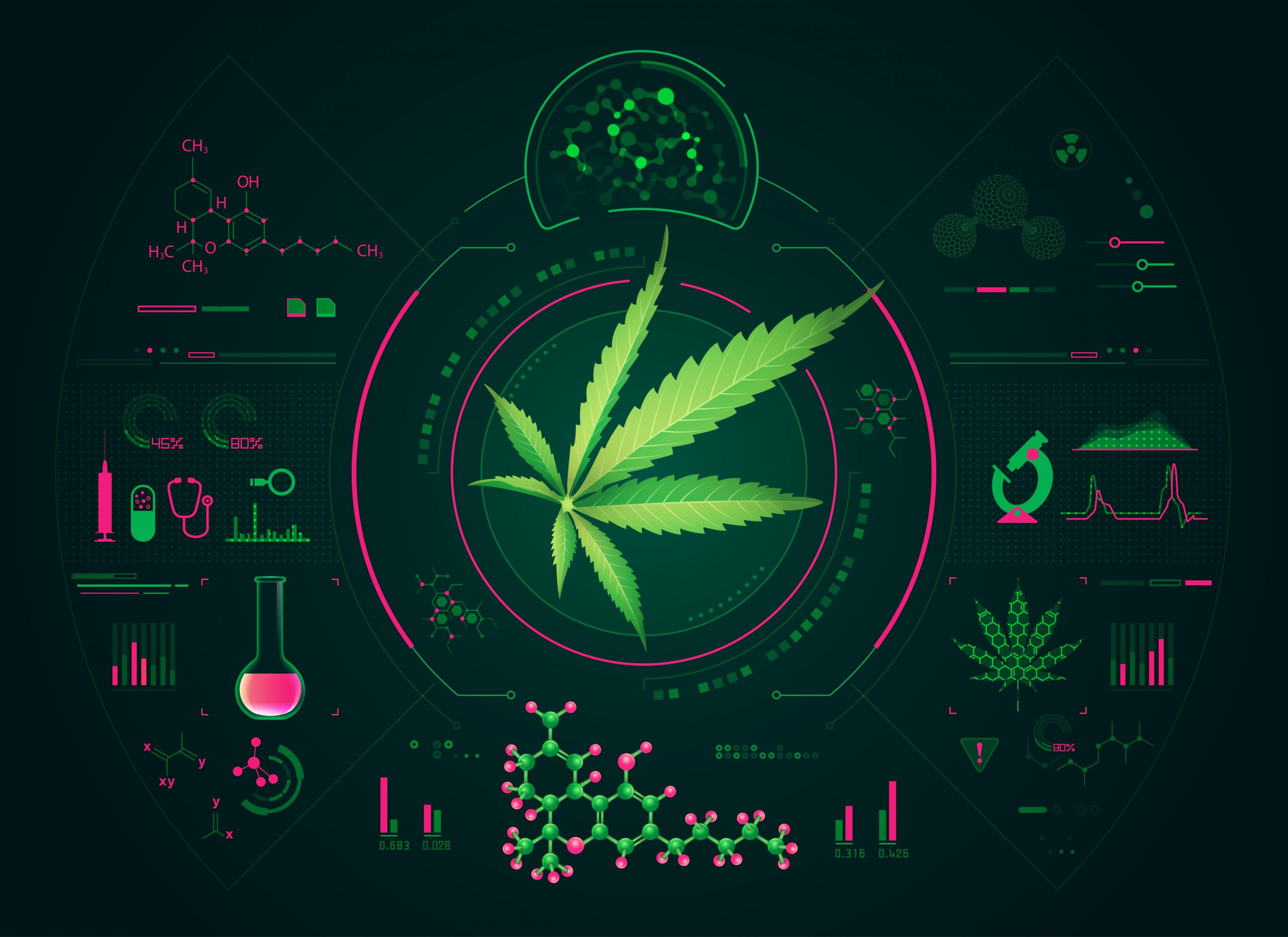 Cannabis leaf on digital background design