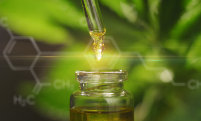 CBD tincture