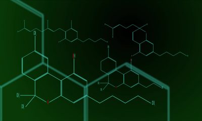 Cannabinoid molecules on a green and black background