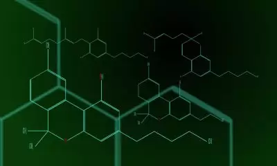 Cannabinoid molecules on a green and black background