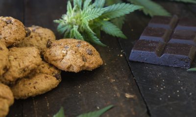 CBD edibles