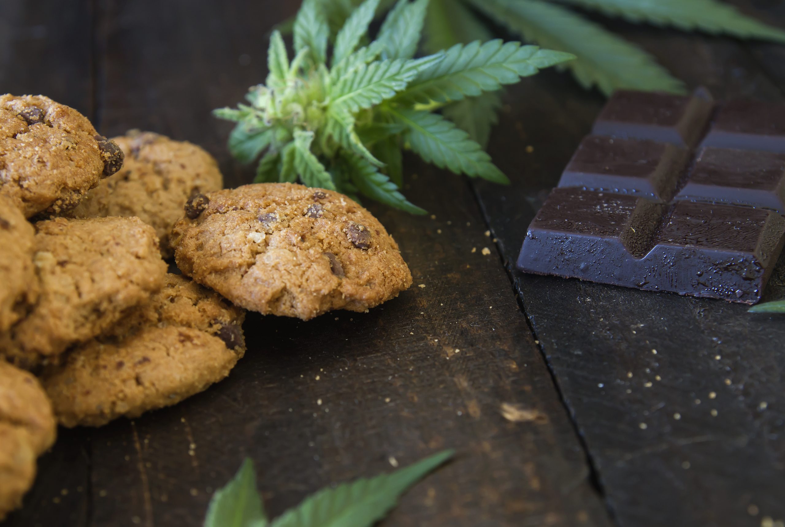 CBD edibles