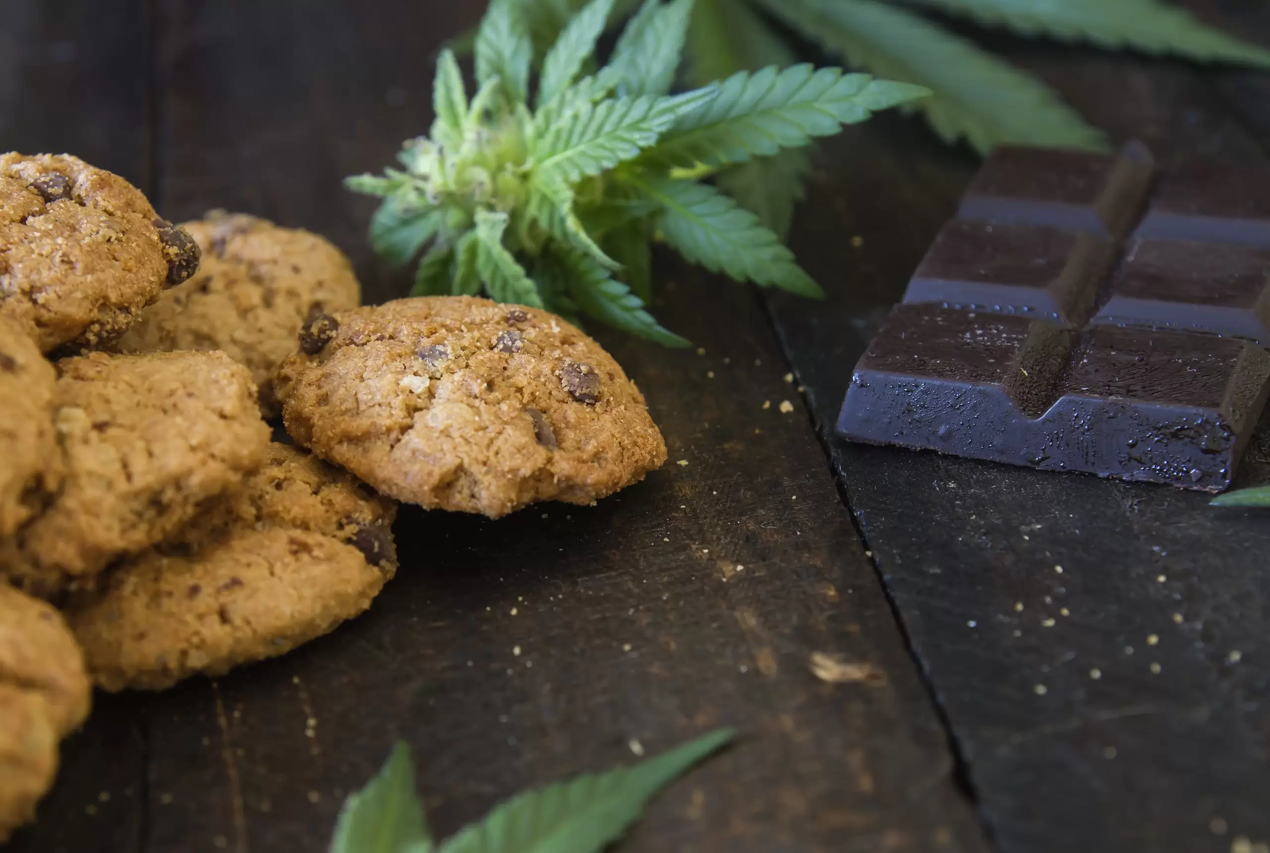 CBD edibles