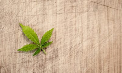 A small green cannabis leaf on a wicker mat