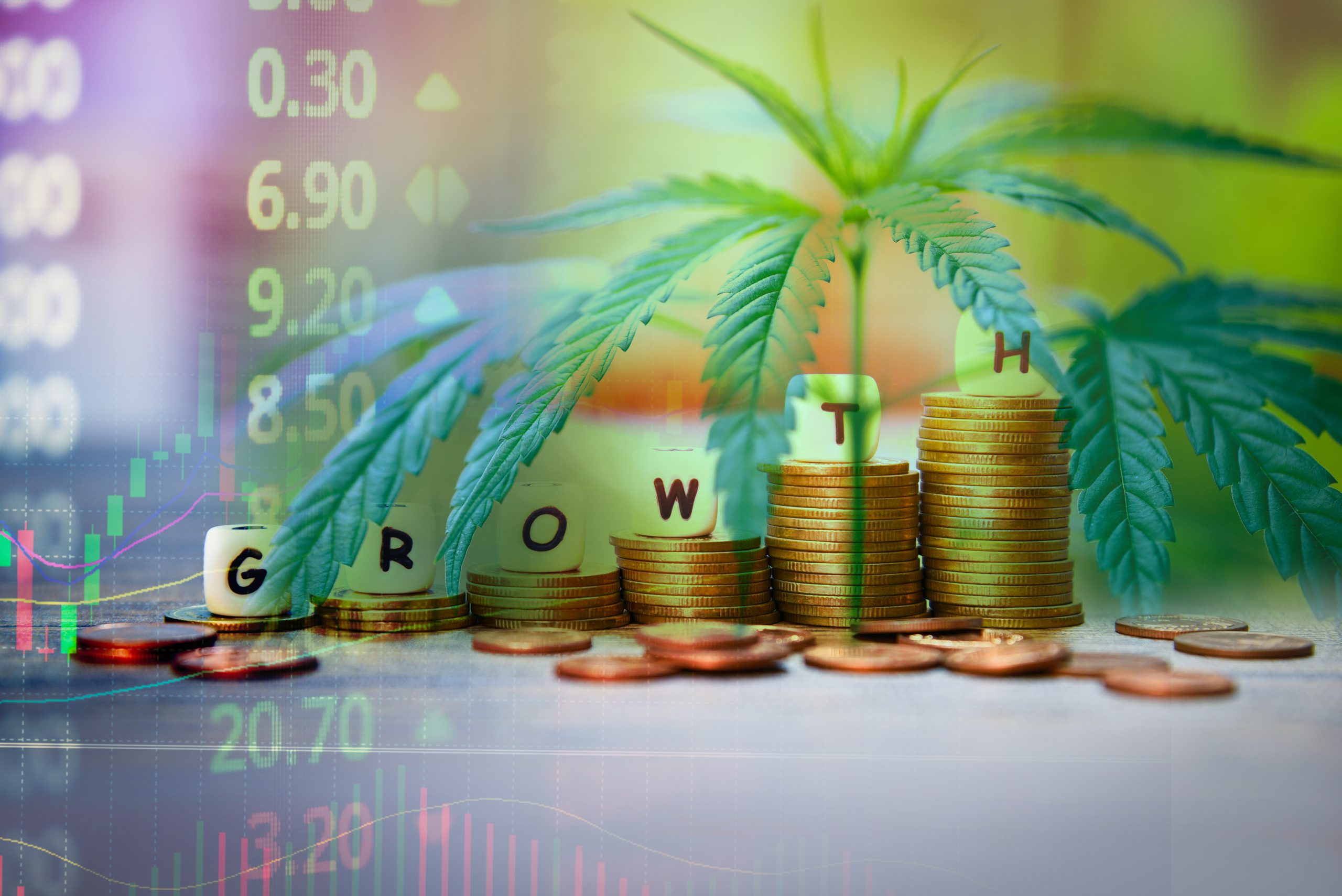 Cannabis industry growth