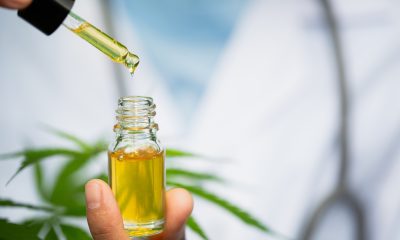 cbd hemp oil, doctor hand hold and offer to patient medical marijuana and oil., legal light drugs prescribe, alternative remedy or medication,medicine concept