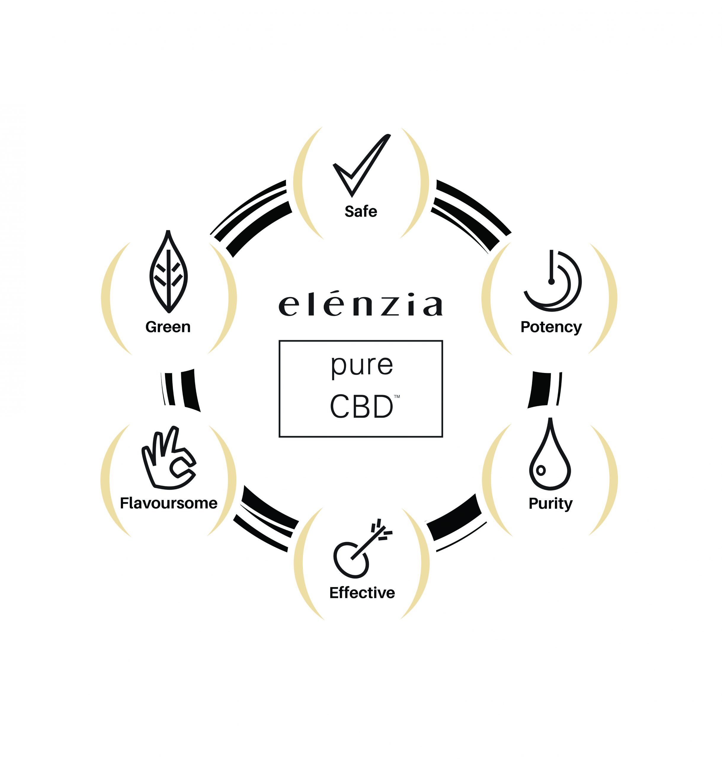 elenzia graphic