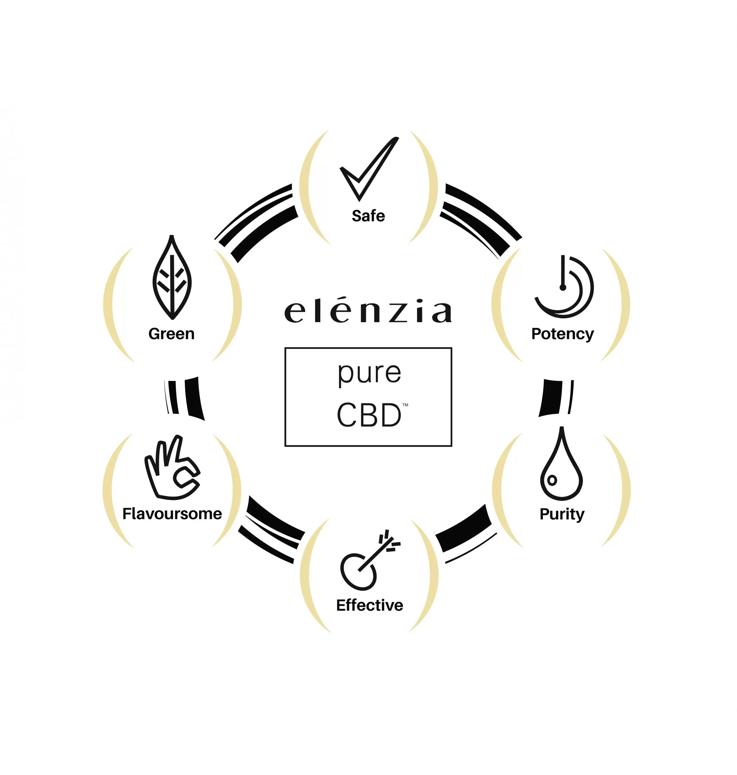 elenzia graphic