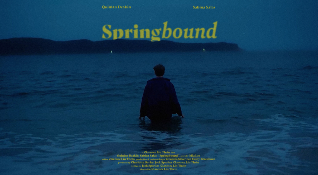 Springbound movie poster.